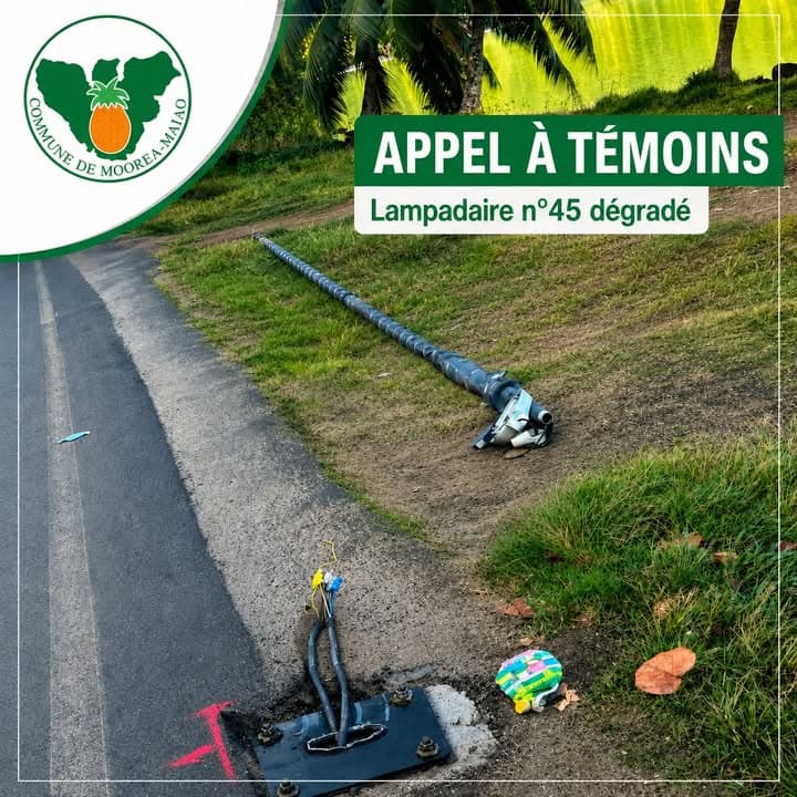 đą APPEL AÌ TEÌMOINS | DEÌGRADATION DâUN LAMPADAIRE A PAOPAO