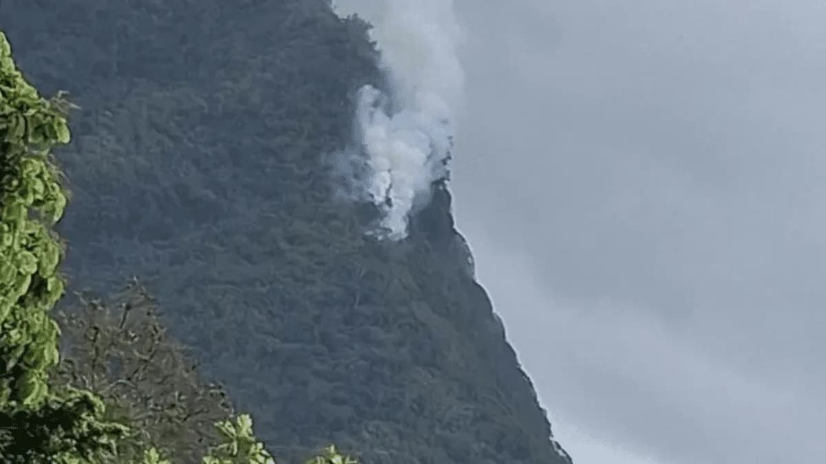 Incendie de brousse dans les hauteurs d'Afareaitu